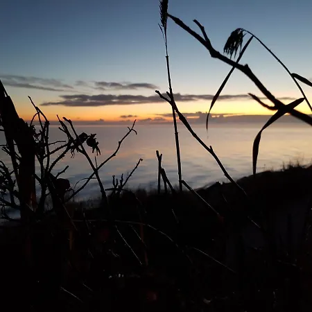 Appartement Strandappartements Steinberghaff 